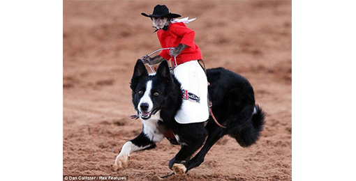 CINCH World's Toughest Rodeo