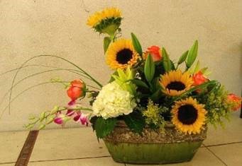 A Flower Girls Dream