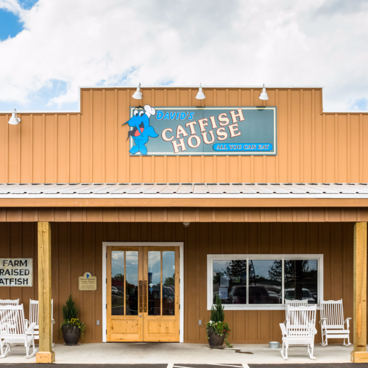 David's Catfish