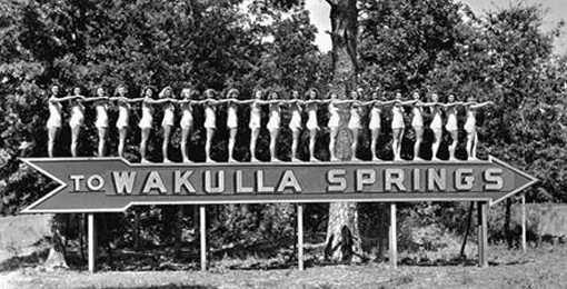 The Lodge at Wakulla Springs