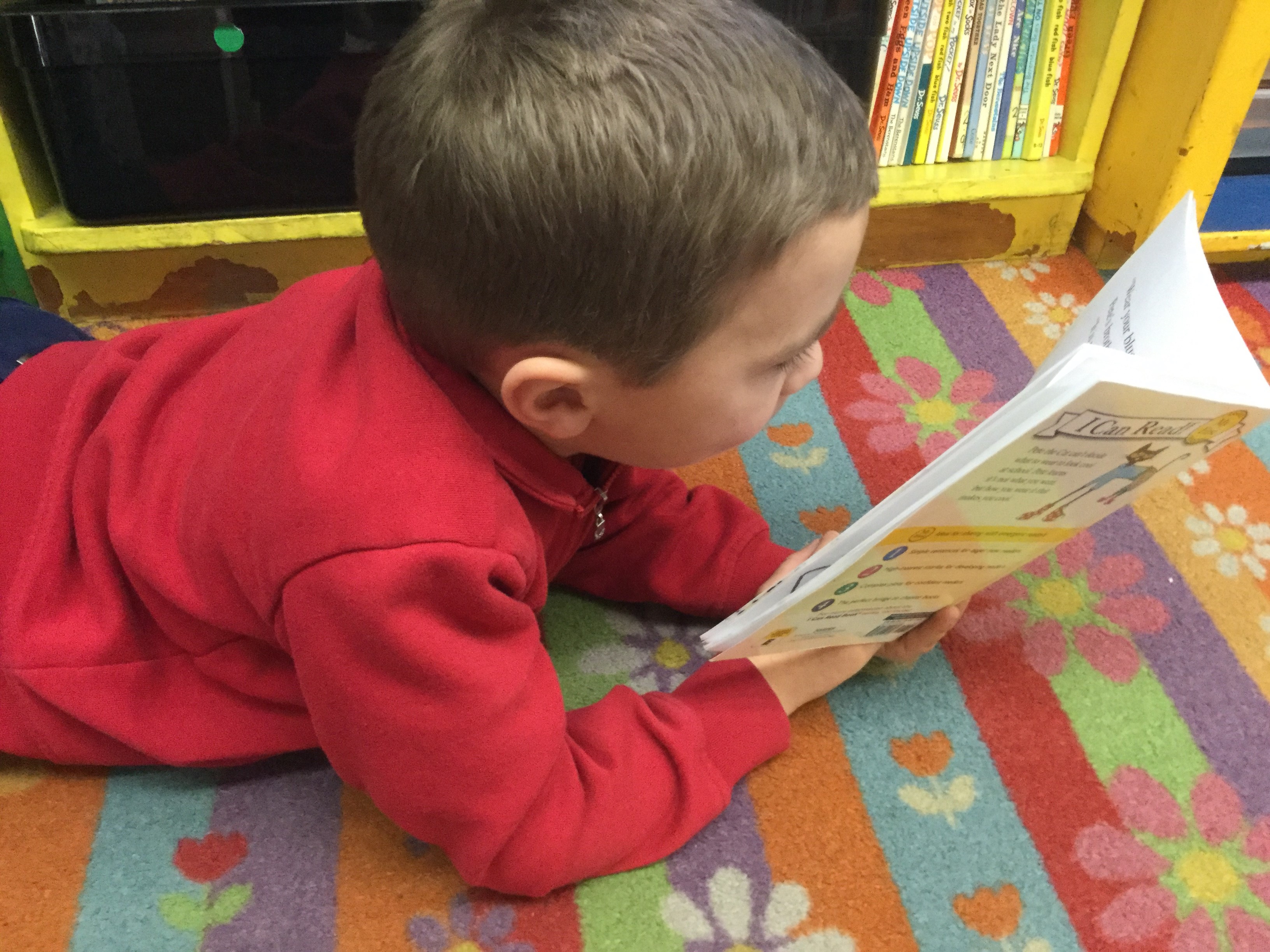 Divine Redeemer Catholic Schools