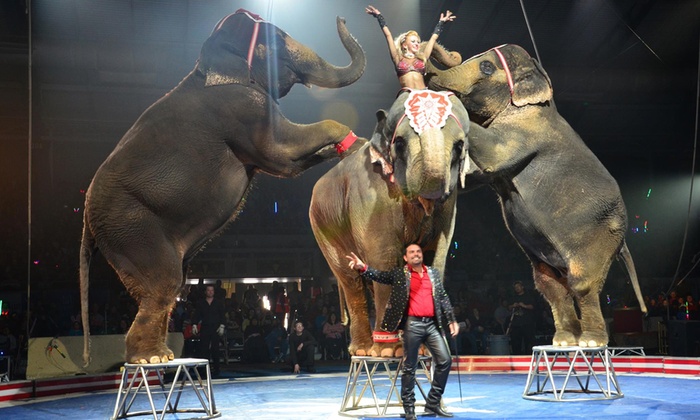 Syrian Shrine Circus at BB&T Arena - Sunday 10/20/19 1:00pm