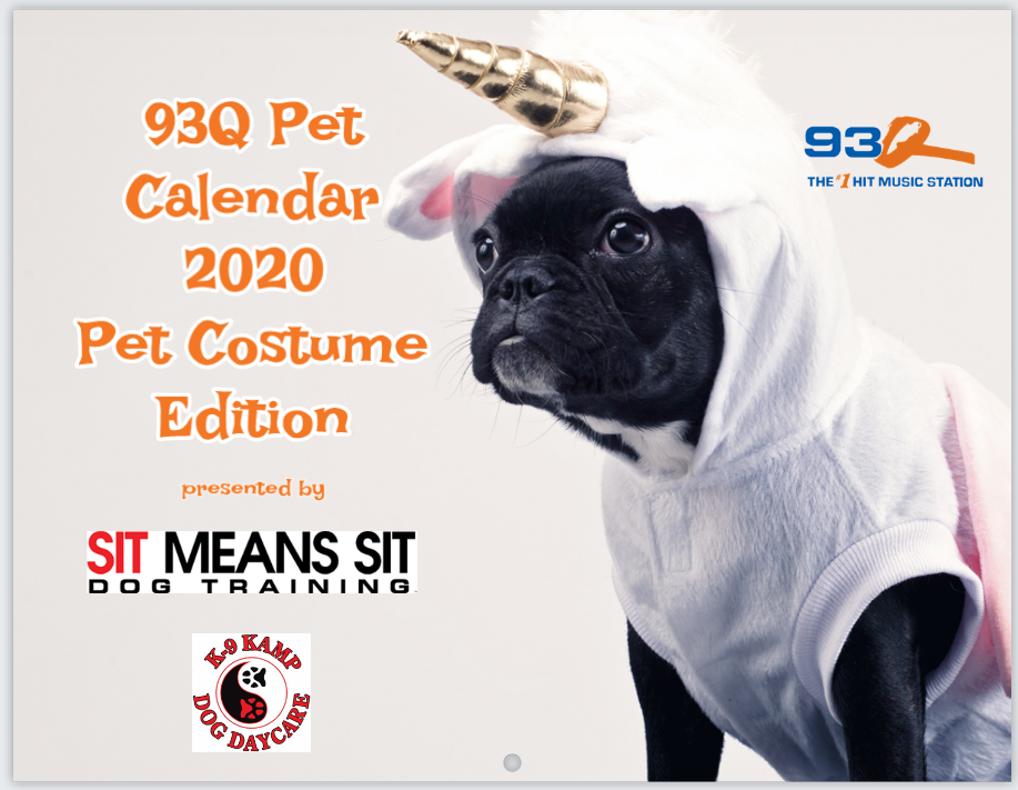 93Q 2020 Pet Calendar