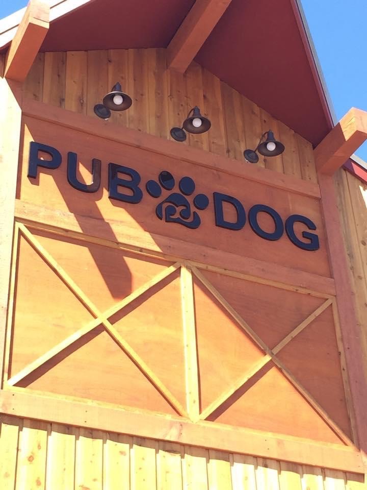 Pub Dog Colorado