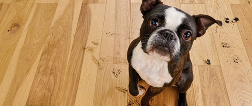 Grant's Flooring Gallery in Hartsville