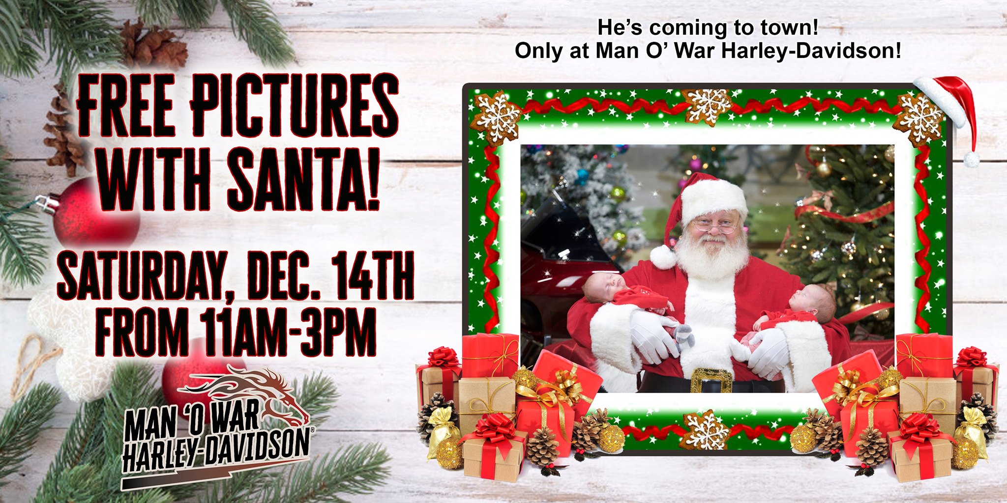 Man O War Harley Davidson 