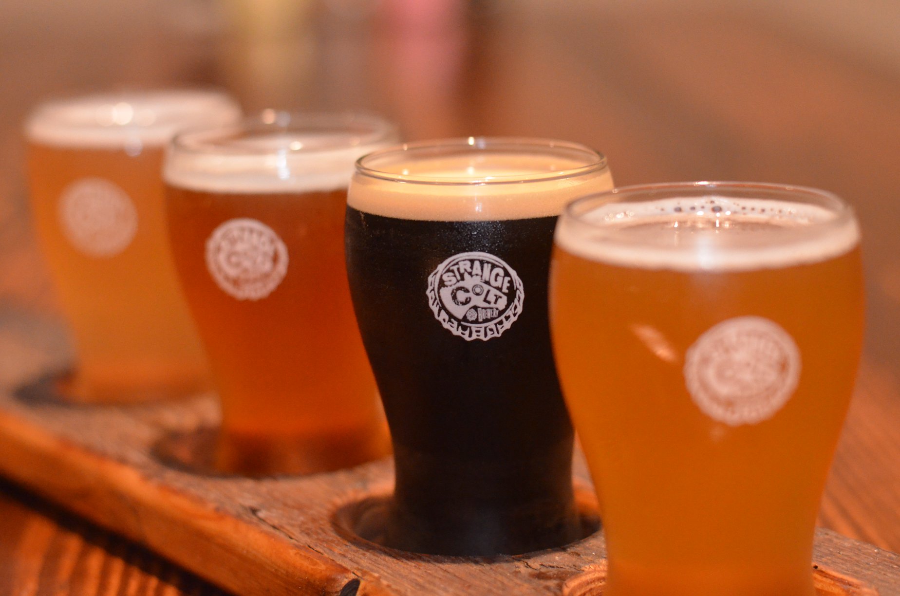 Strange Colt Brewery