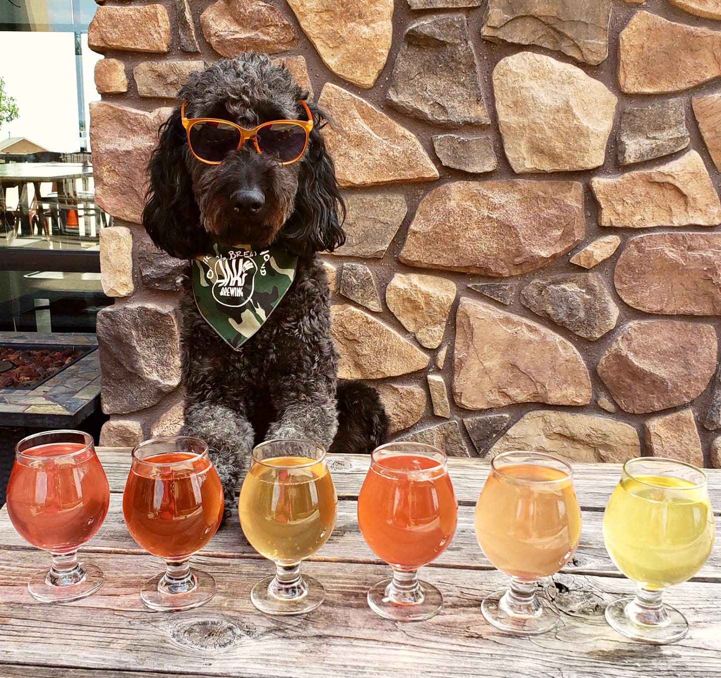 JAKs Brewery & Taphouse