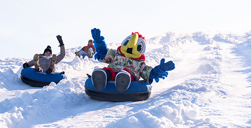 Margaritaville at Lanier Islands