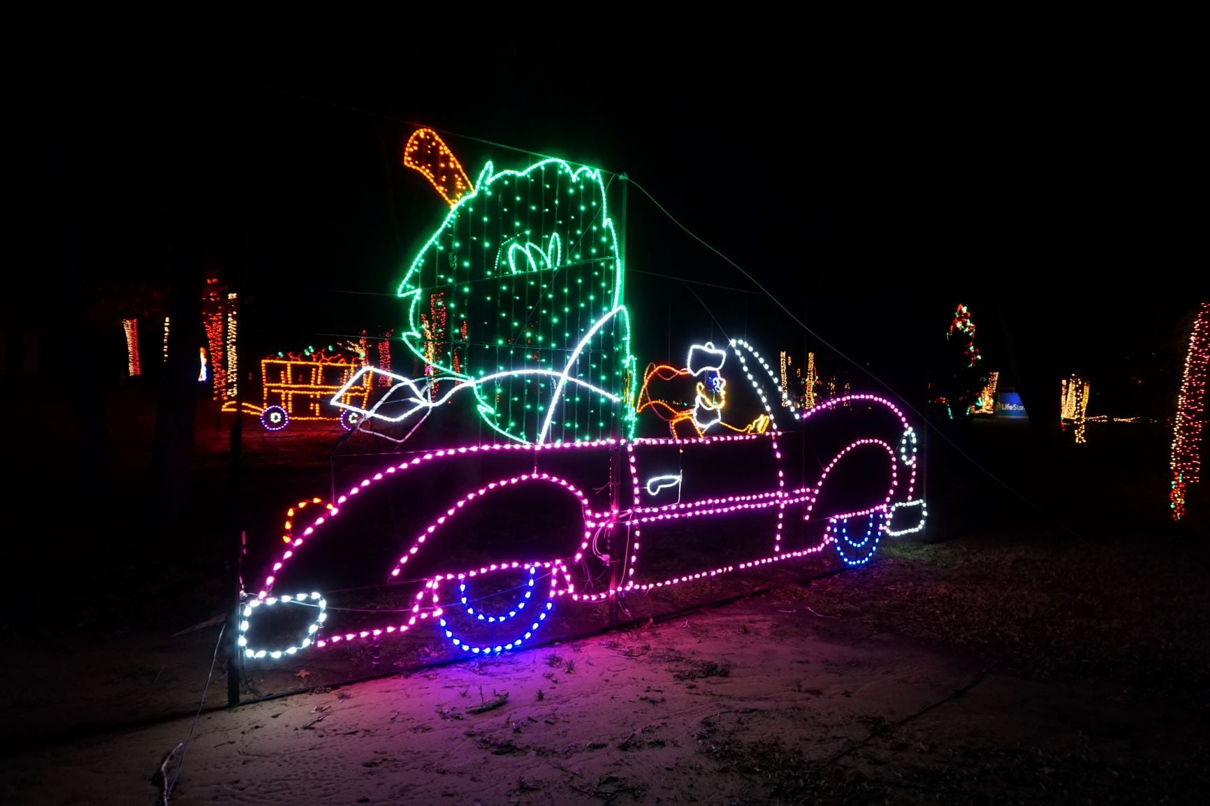 Holiday Fantasy of Lights Show