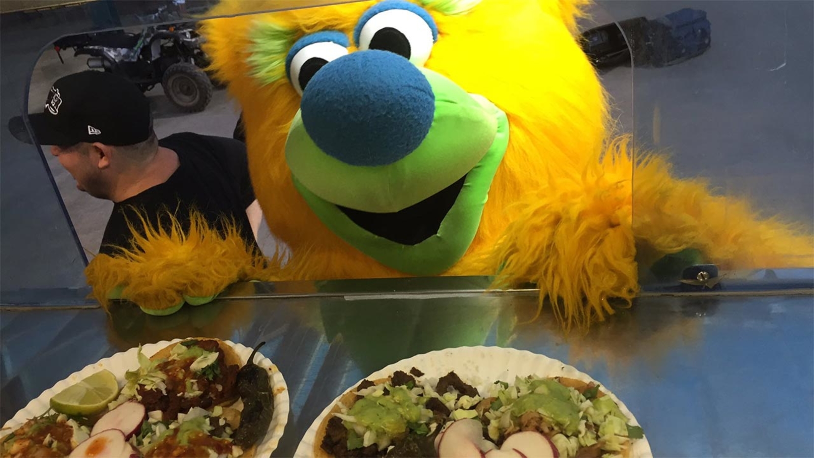 Grizzlies Taco Fun Pack