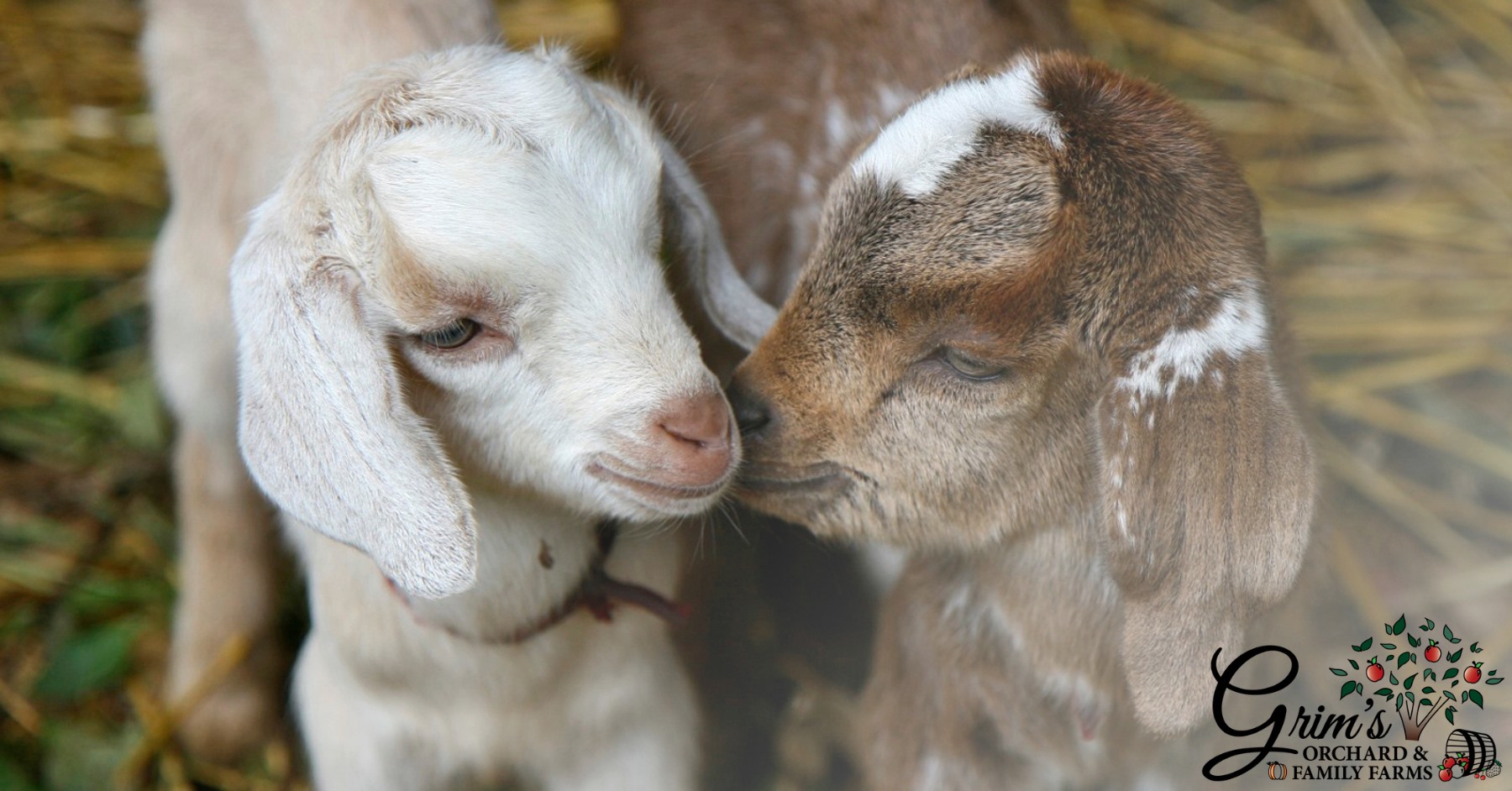 Grim's Orchard & Family Farms