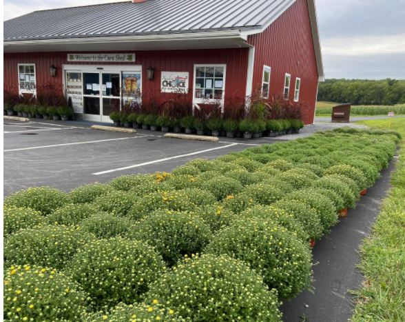 Newhard Farms Corn Shed