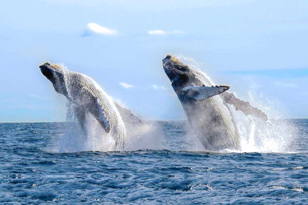 Cabo San Lucas, Mexico