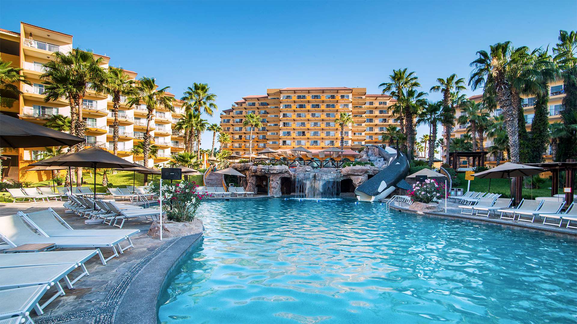 Cabo San Lucas, Mexico