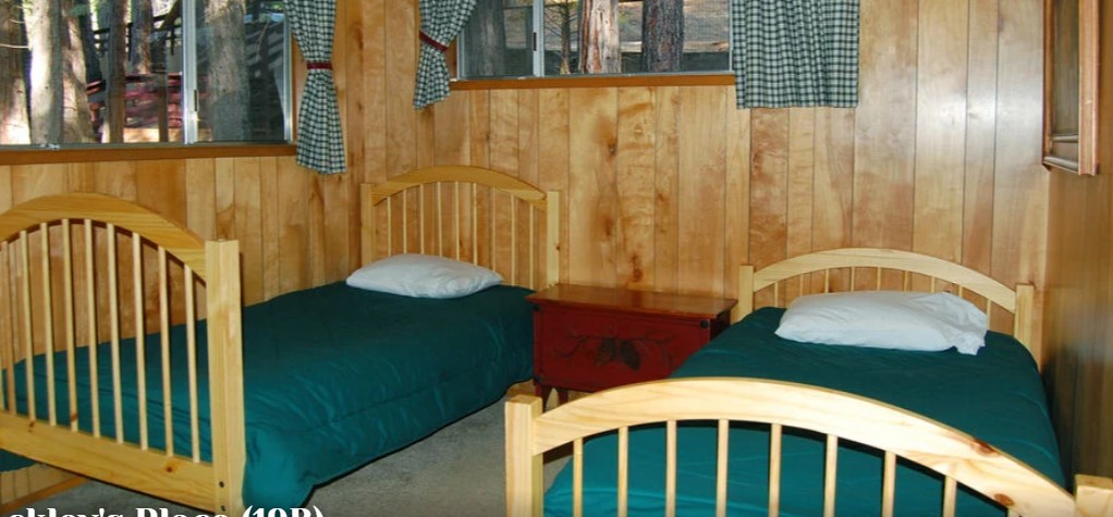 The Redwoods in Yosemite