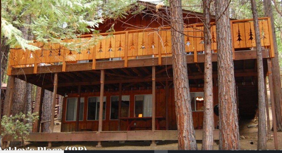 The Redwoods in Yosemite