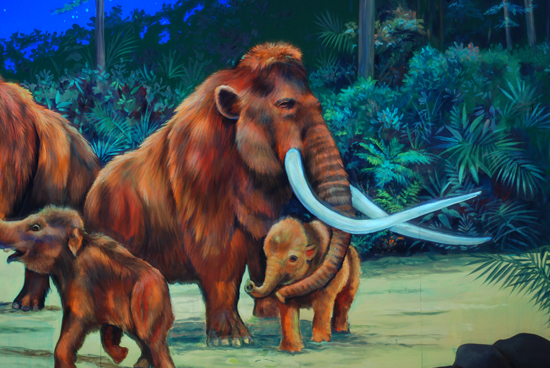 Two T's Family Entertainment Center