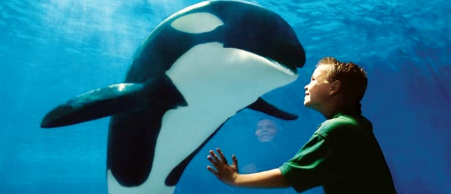 Free Orlando, Florida Vacation