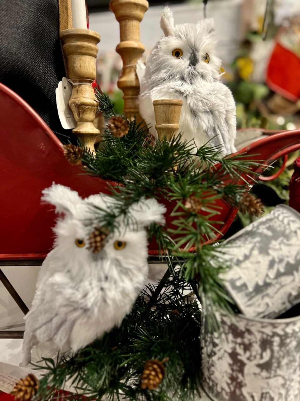 The Corman Marketplace 