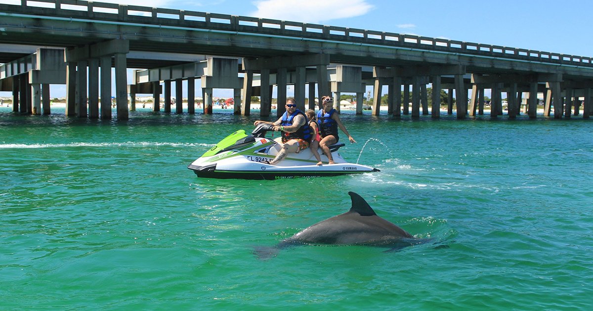 Boogie's Watersports - Jet Ski Guided Dolphin Tour 