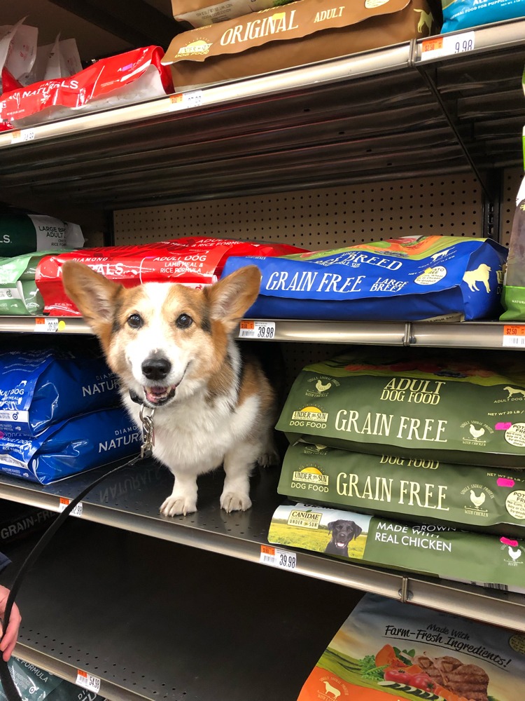 Pet Supplies Plus