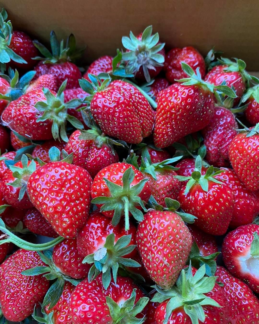 Grims Orchard & Family Farms