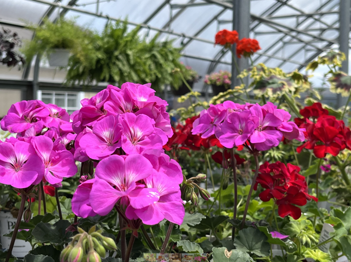 Brown's Orchards & Farm Market