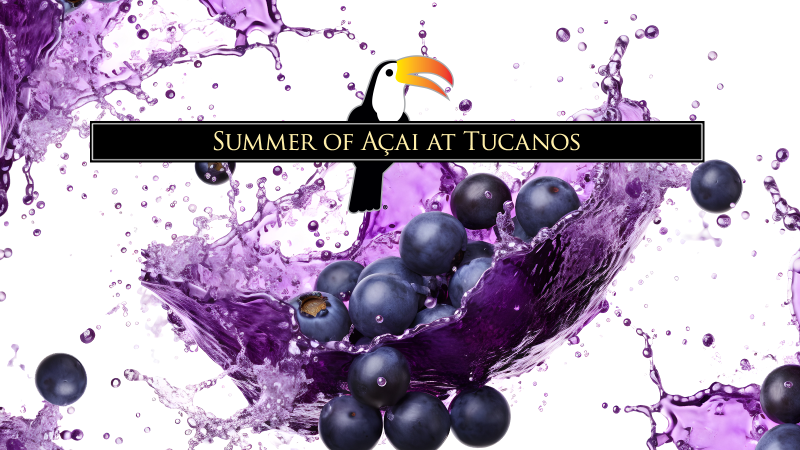Tucanos