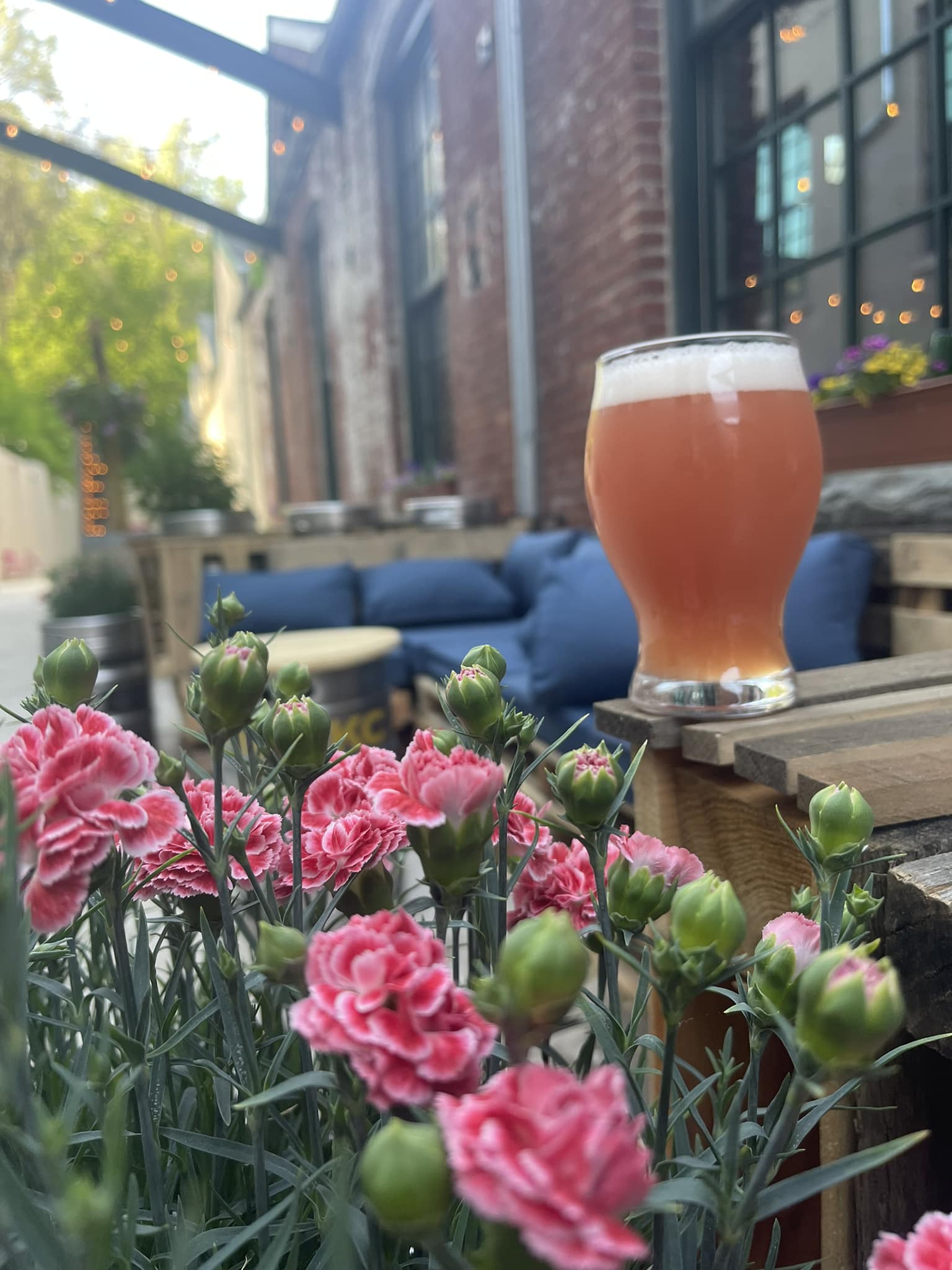 Seven Sirens Brewing Company