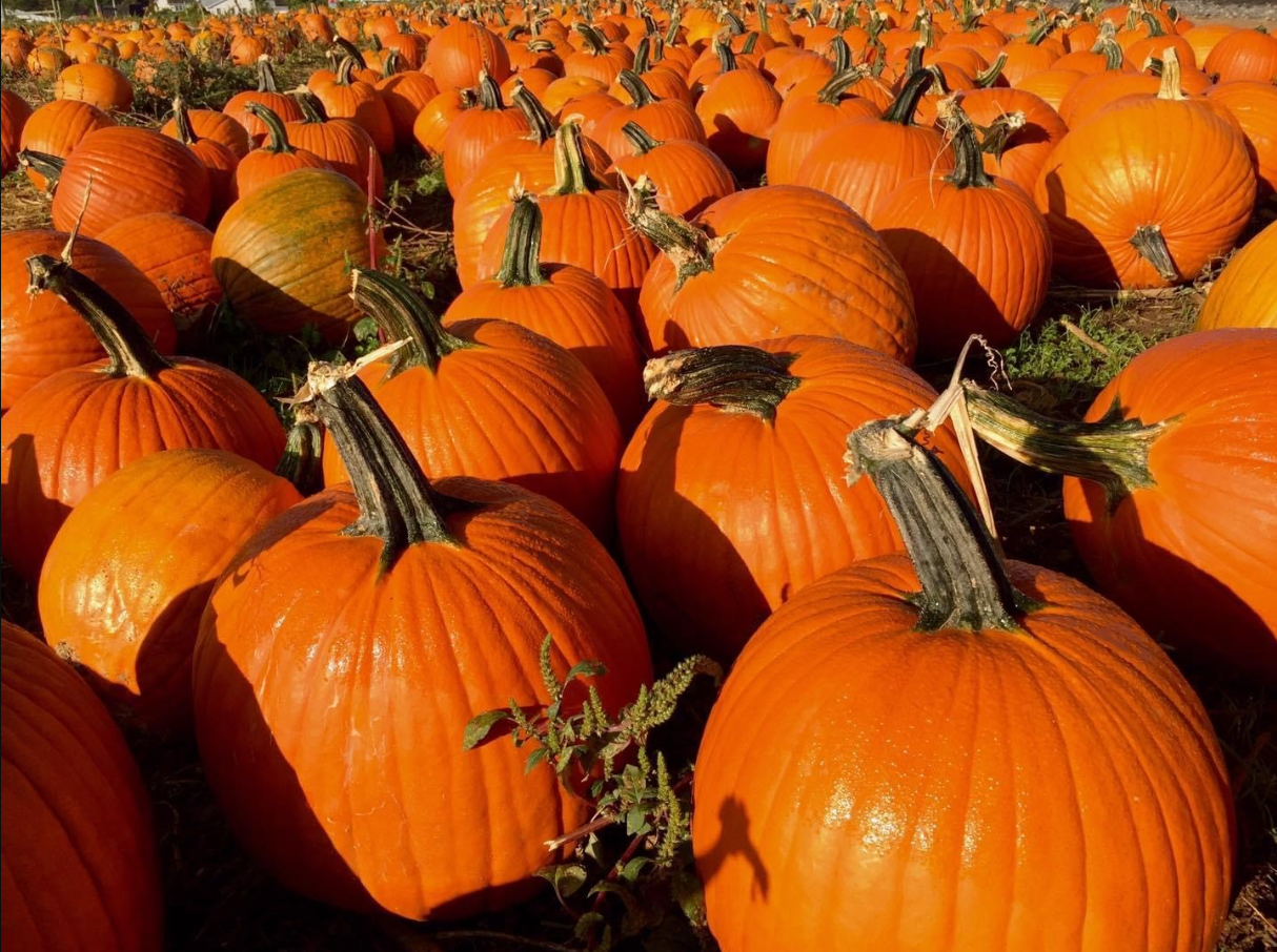 Grim's Orchard & Family Farms