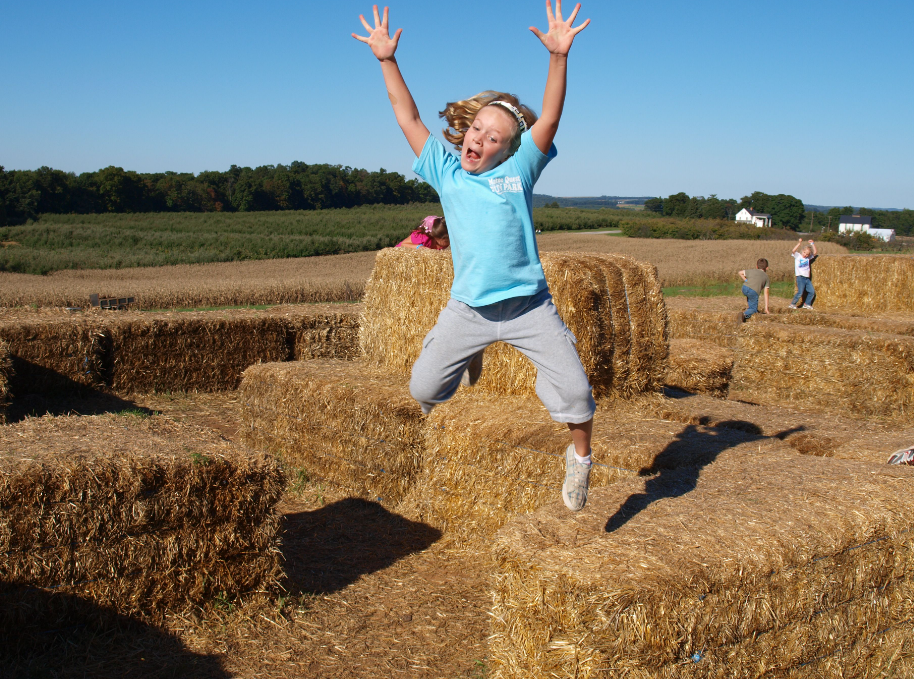 Maple Lawn Farms