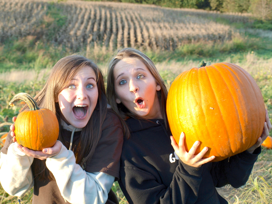 Maple Lawn Farms