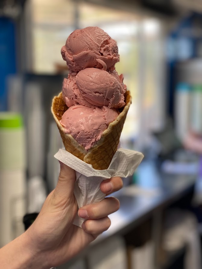 Turtle Roll Ice Cream