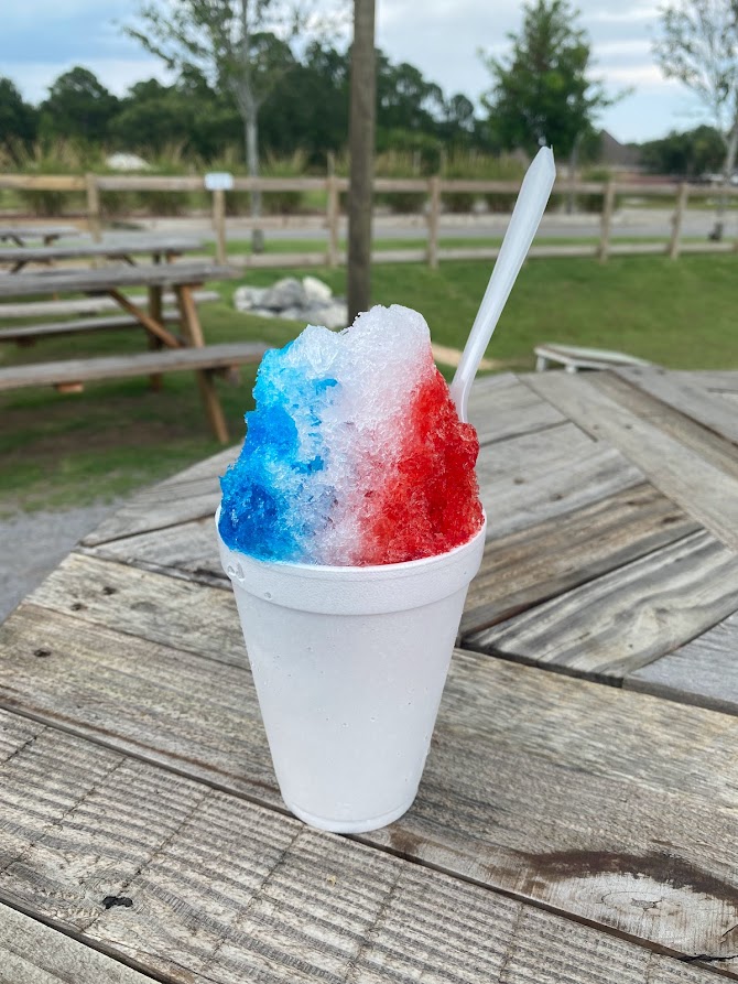 Turtle Roll Ice Cream