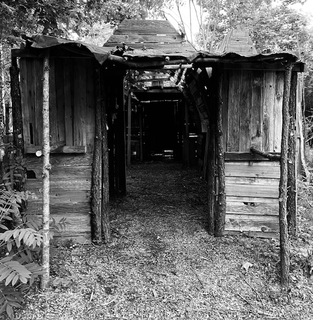 Big Red's Family Farm