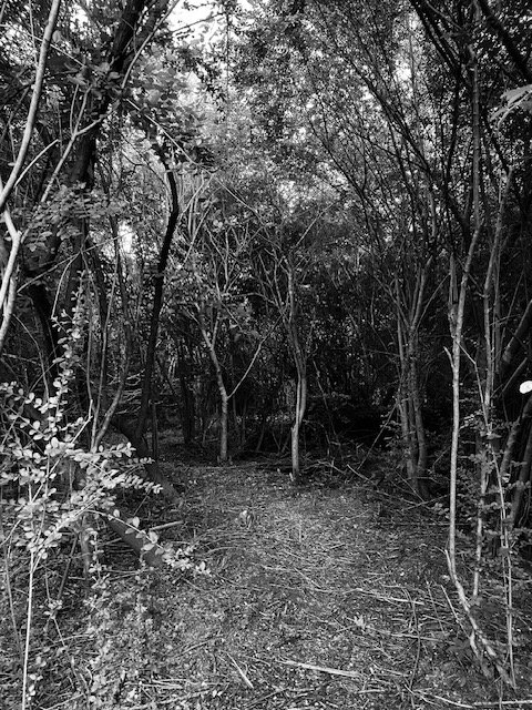 Big Red's Family Farm