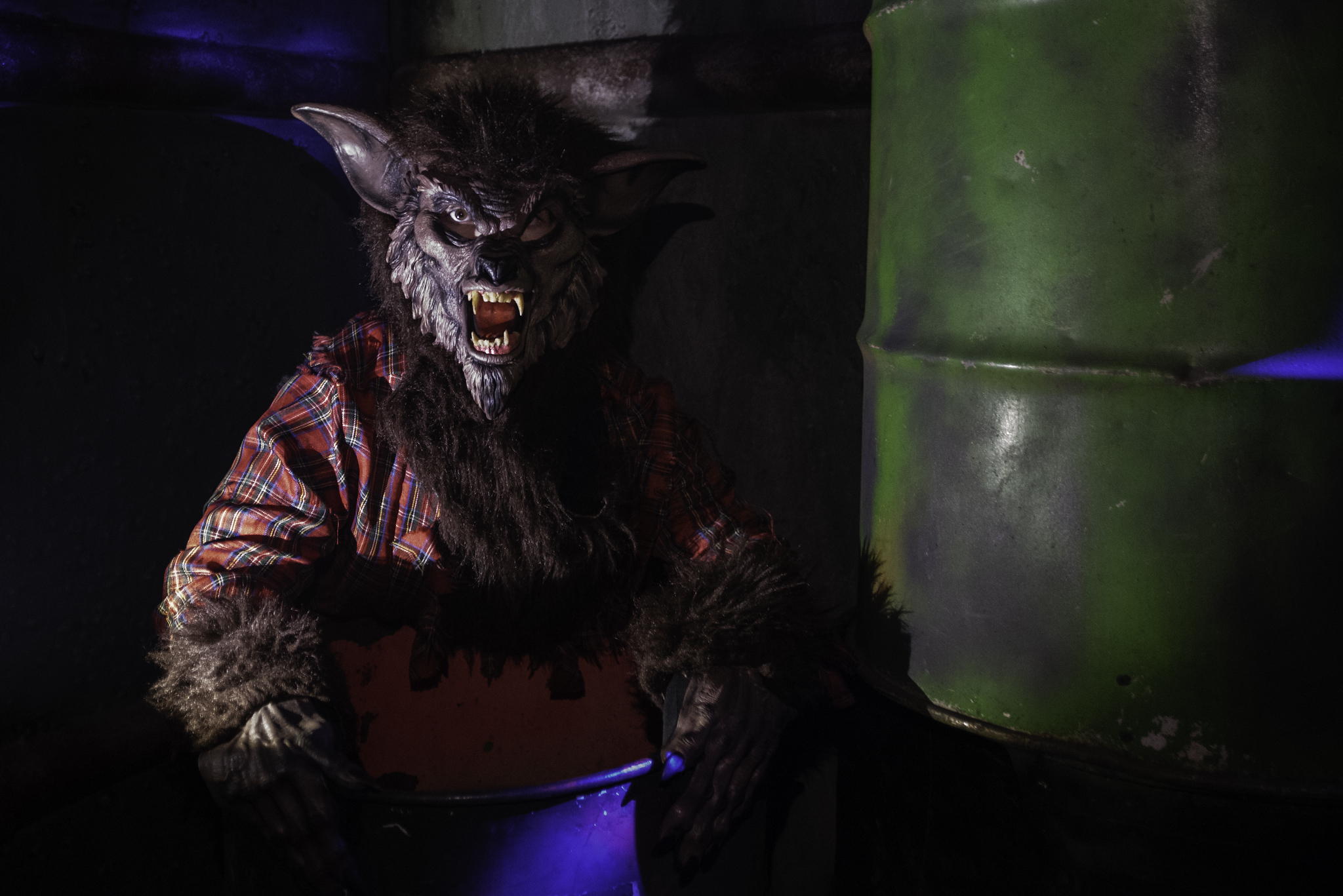 Spider Hill Haunted Attractions