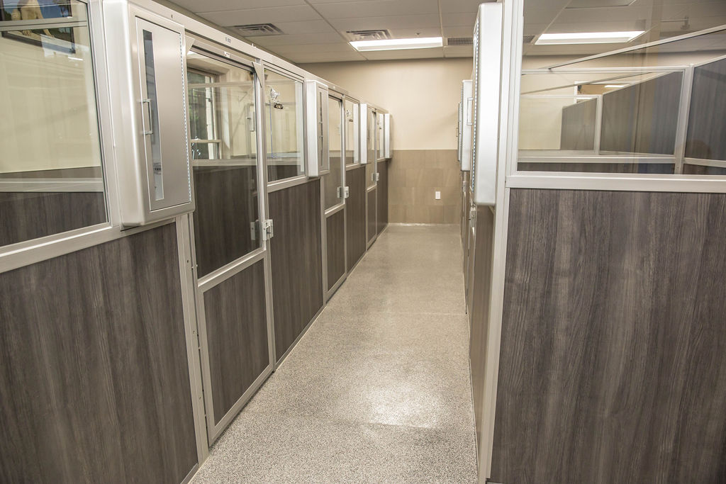 K9 Resorts of Bethlehem