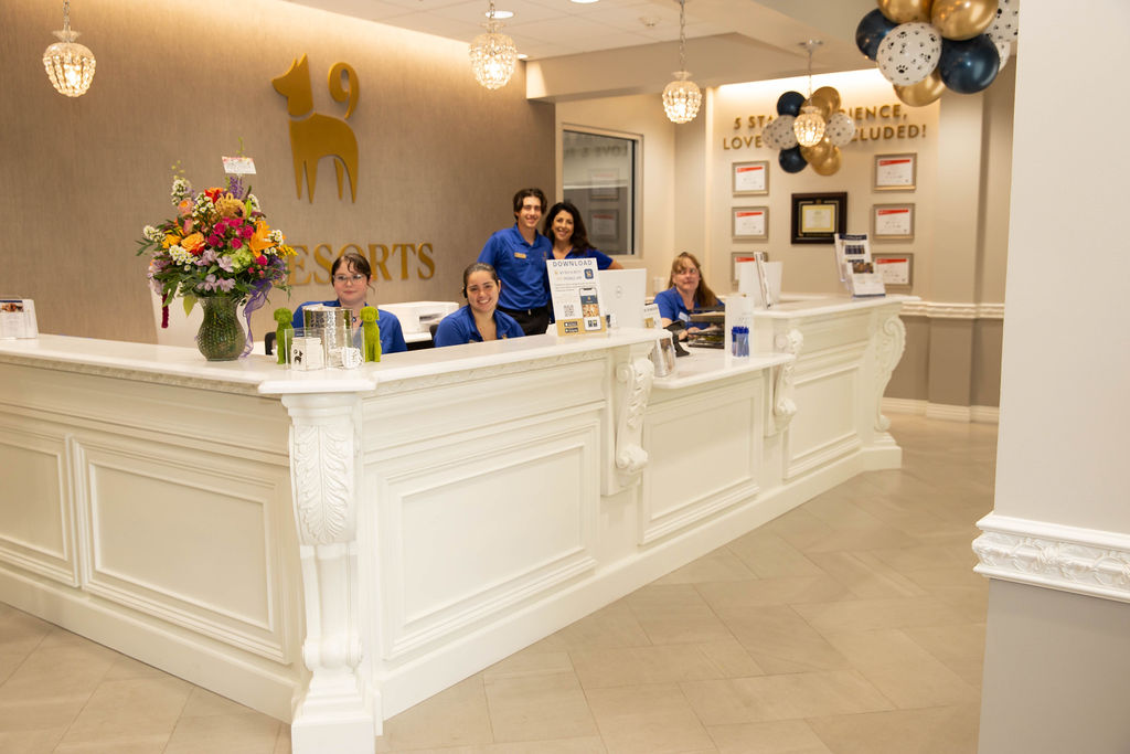 K9 Resorts of Bethlehem