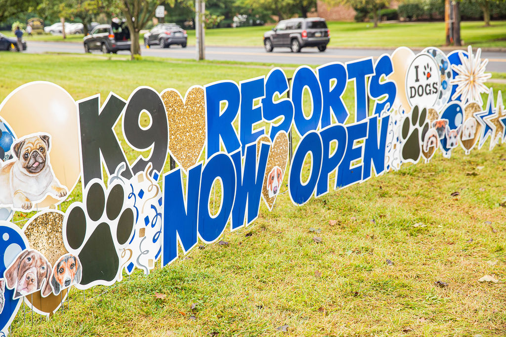 K9 Resorts of Bethlehem