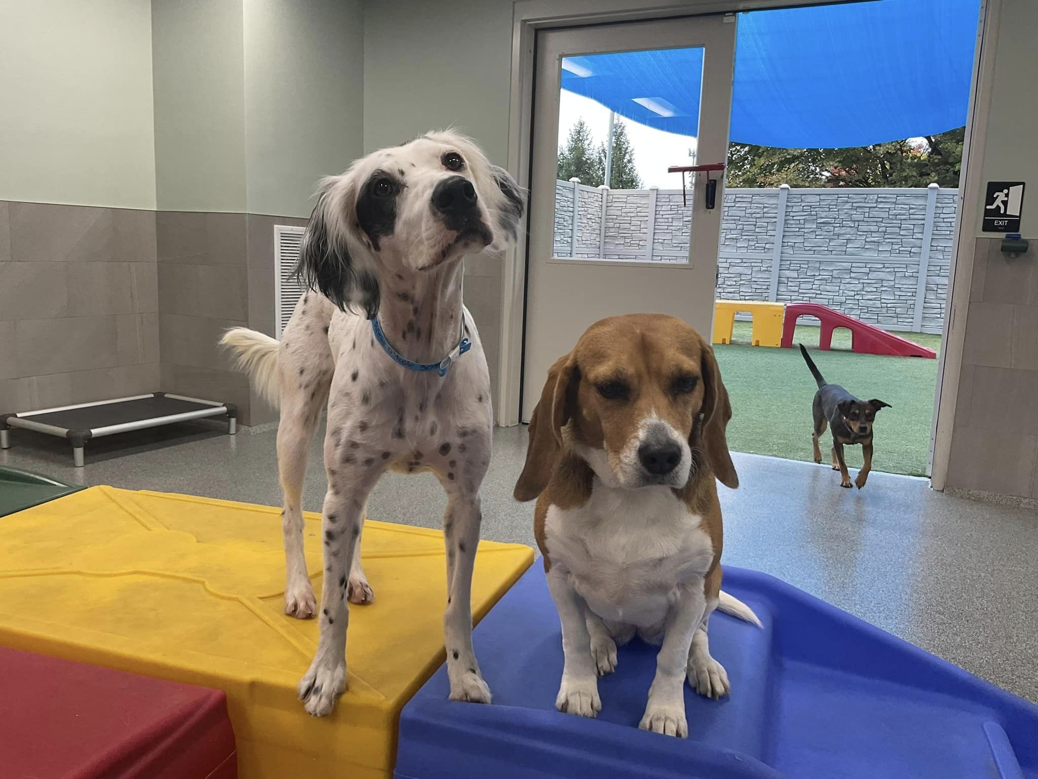 K9 Resorts of Bethlehem