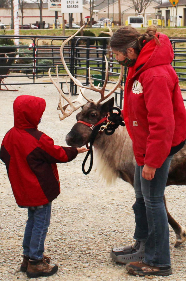 Reindeer Encounter at Whitetail Acres Nursery