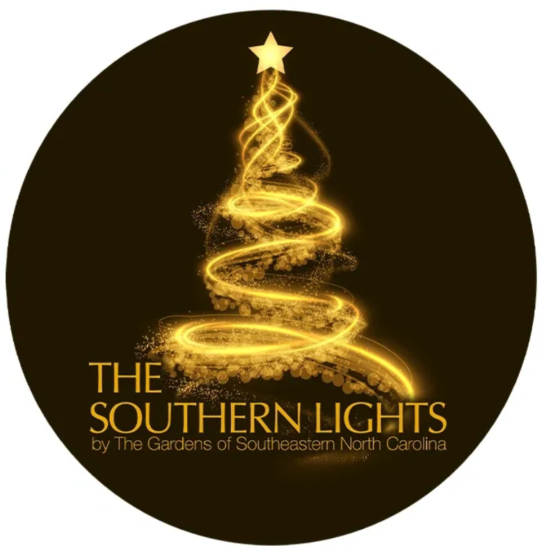 The Southern Lights