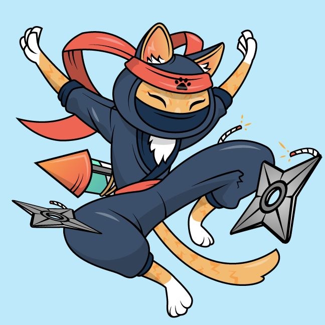 Ninja Kitty Fireworks