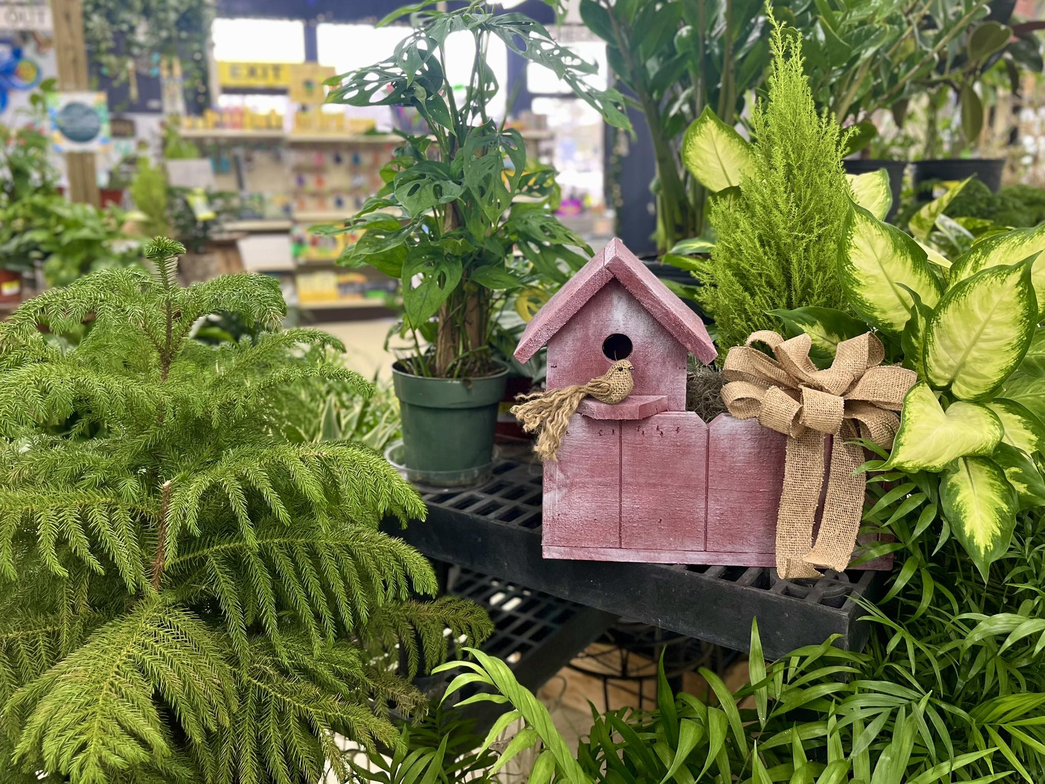 Madison Garden Center and Flower Shop