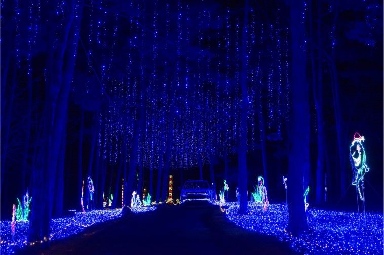 Knoebels Amusement Park