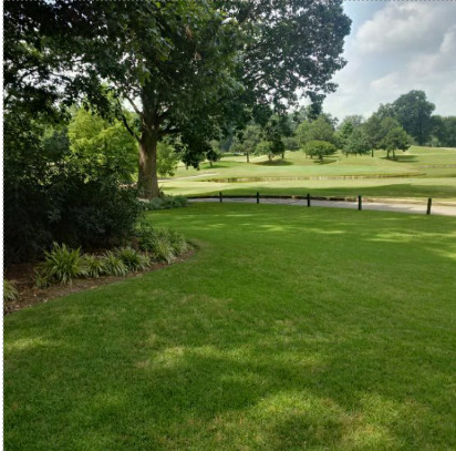 2025 MID-SOUTH GOLF CARD