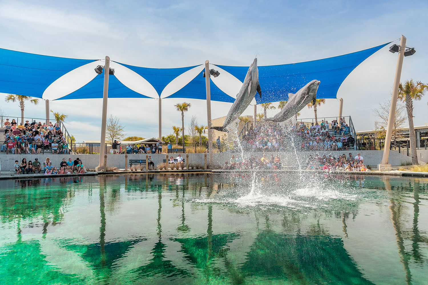 Gulfarium Marine Adventure Park
