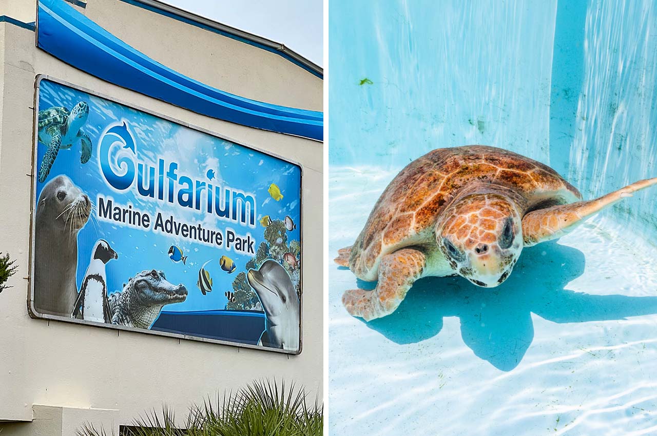 Gulfarium Marine Adventure Park